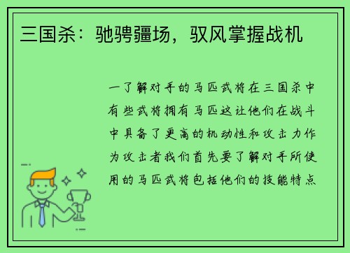 三国杀：驰骋疆场，驭风掌握战机